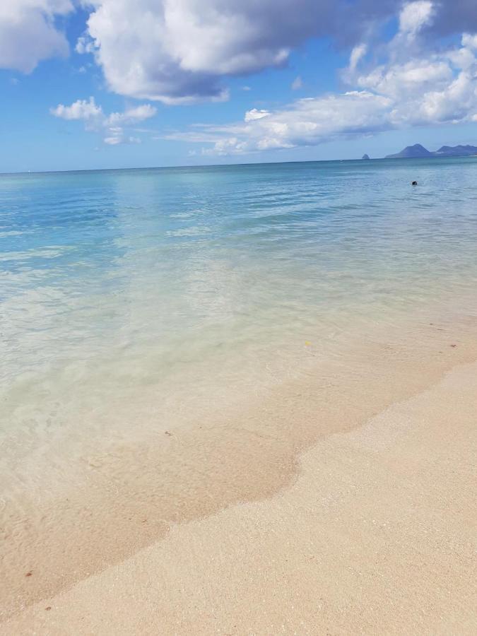 Ste Luce, N° 11 Appart -300M Plage De Mabouyas Corps de Garde Ngoại thất bức ảnh