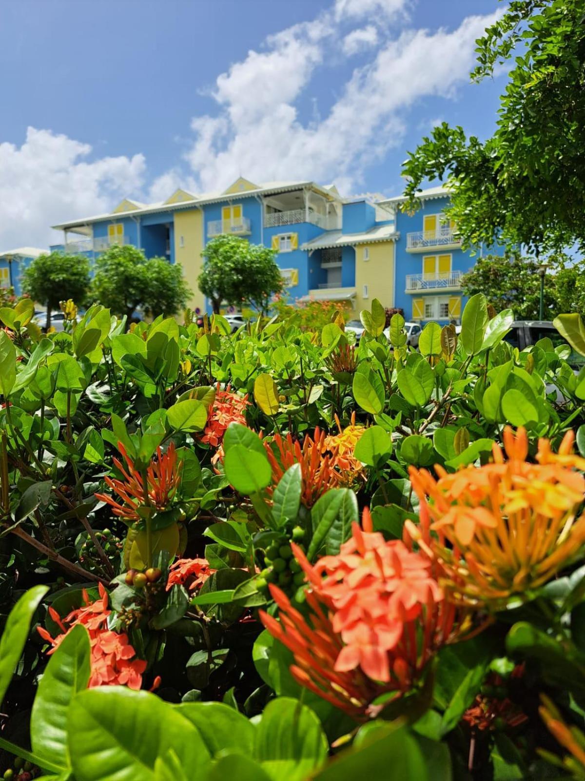 Ste Luce, N° 11 Appart -300M Plage De Mabouyas Corps de Garde Ngoại thất bức ảnh