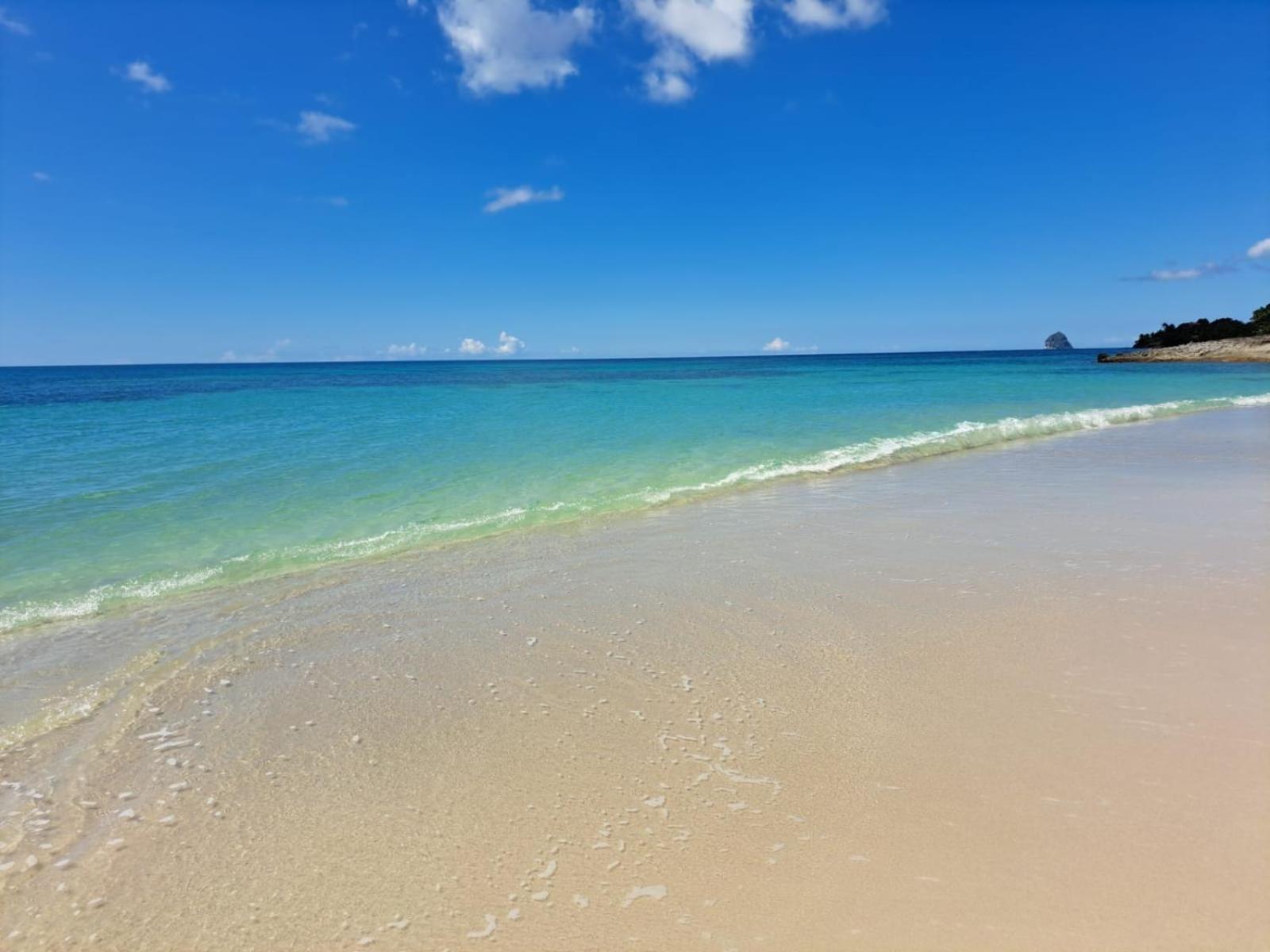 Ste Luce, N° 11 Appart -300M Plage De Mabouyas Corps de Garde Ngoại thất bức ảnh